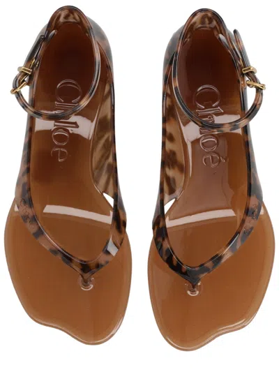 Chloé Jelly Flip-flop Sandals Tropical Print Shell Heel In Brown