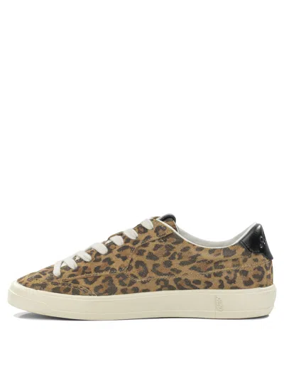 Autry Windscape Low Sneakers In Leopard And Black Suede In Animal Print