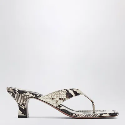 Paris Texas Portofino Snake-effect Leather Mules In Animal Print