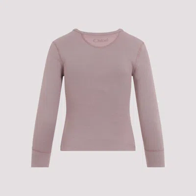 Chloé Knit Pullover Long Sleeves Crew Neck Ribbed
