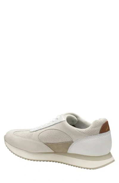 Johnston & Murphy Chase Perforated Sneaker In Multi