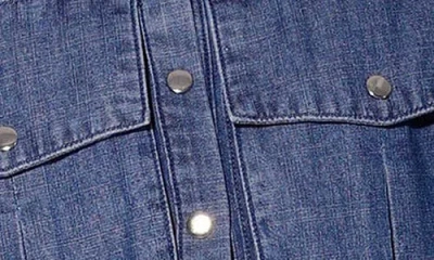 Walter Baker Bryce Crop Denim Top In Blue
