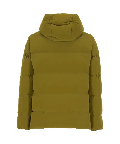 Rrd Hooded Padded Down Jacket In Multi
