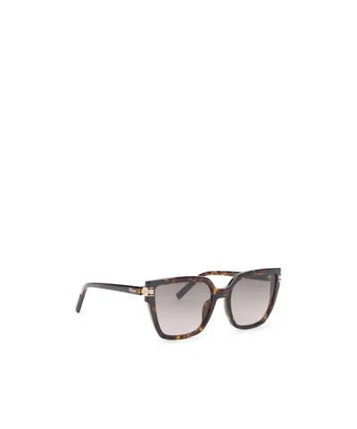 Chopard Eyewear Square Frame Sunglasses In Brown