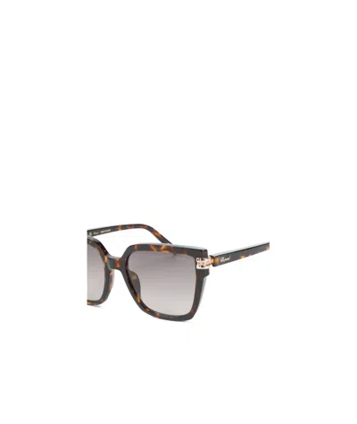 Chopard Eyewear Square Frame Sunglasses In Brown