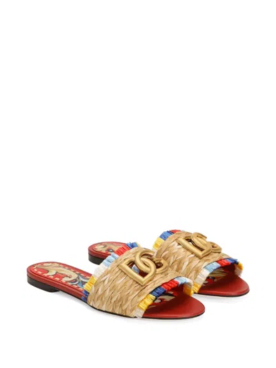 Dolce & Gabbana Raffia Flat Slides In Multi