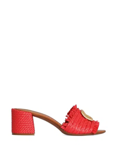 Dolce & Gabbana Raffia Mules In Multi