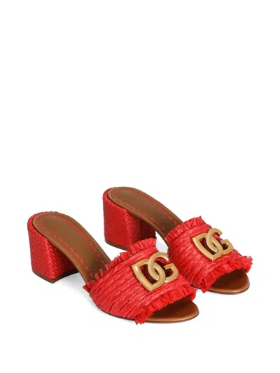 Dolce & Gabbana Raffia Mules In Multi