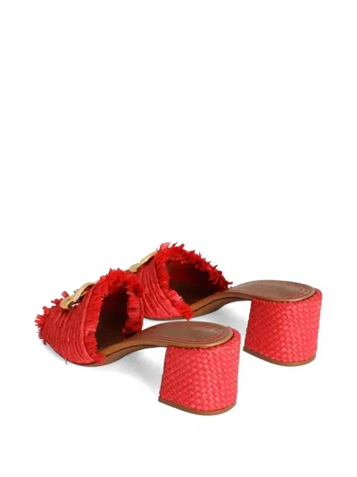 Dolce & Gabbana Raffia Mules In Multi