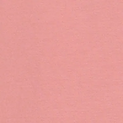 Dolce & Gabbana Cotton T-shirt With Patch In Pink