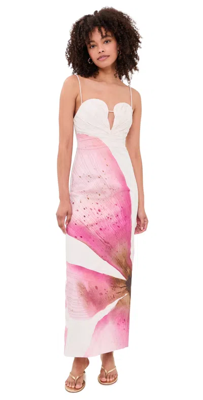 Significant Other Quentin Maxi Dress Petal Garden In White