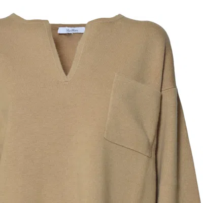 Max Mara Sweaters In Brown