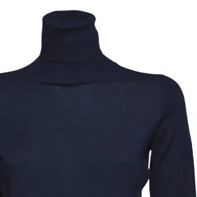 Max Mara Sweaters In Blue