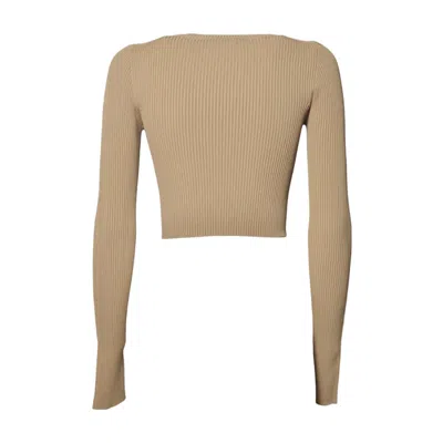 Max Mara Sweaters In Brown