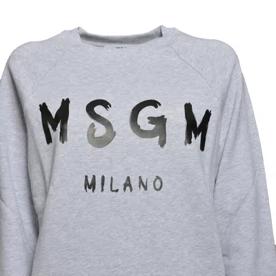 Msgm Sweaters In Gray