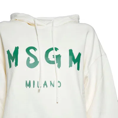 Msgm Sweaters In Neutral