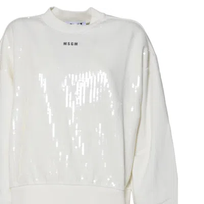 Msgm Sweaters In Neutral