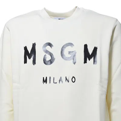 Msgm Sweaters In Neutral