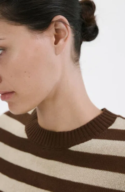 Mango Stripe Crop Sweater In Brown