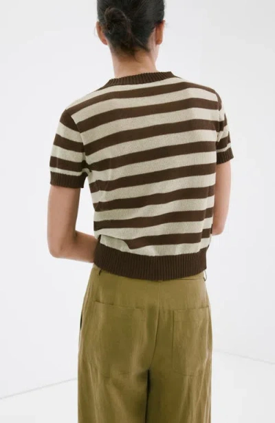 Mango Stripe Crop Sweater In Brown