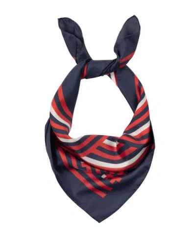 Echo Stripes Silk Scarf In Multi