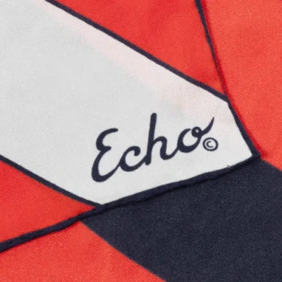 Echo Stripe Silk Oblong In Multi