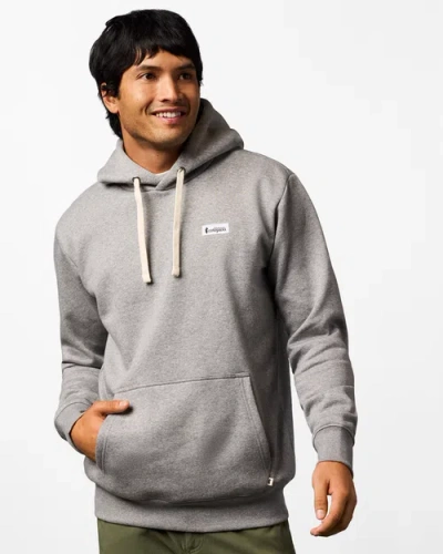 Cotopaxi Llama Patch Pullover Hoodie In Gray