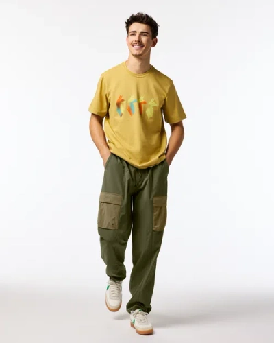 Cotopaxi Coraje Tech Cargo Pant In Green