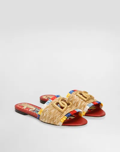 Dolce & Gabbana Raffia Flat Slides In Multi