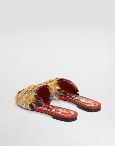 Dolce & Gabbana Raffia Flat Slides In Multi
