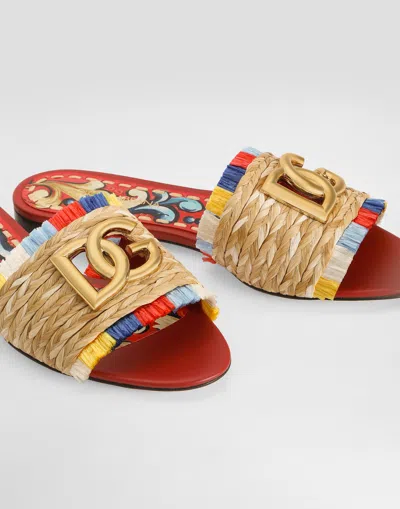 Dolce & Gabbana Raffia Flat Slides In Multi