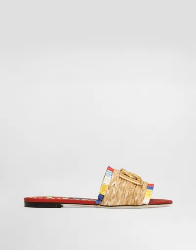 Dolce & Gabbana Raffia Flat Slides In Multi