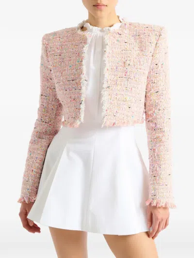 Balmain Tweed Blazer In Nylon-cotton Blend With Cupro Lining In Pink