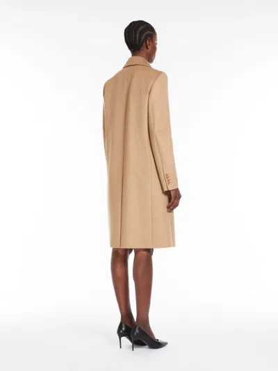 Max Mara Double-breasted Wool Coat In Brown