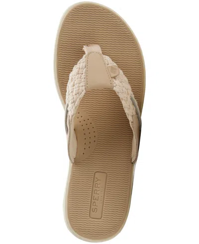 Sperry Parrotfish Braid In Multi