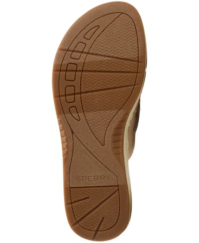 Sperry Parrotfish Braid In Multi