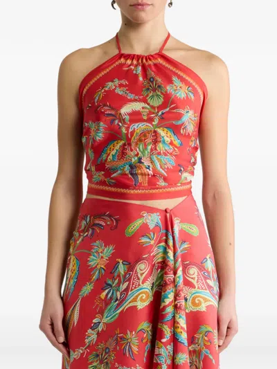 Etro Silk Top With Halterneck And Paisley Foliage Motif In Red