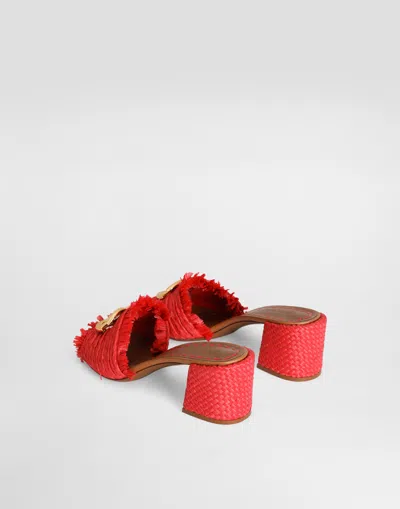 Dolce & Gabbana Raffia Mules In Multi