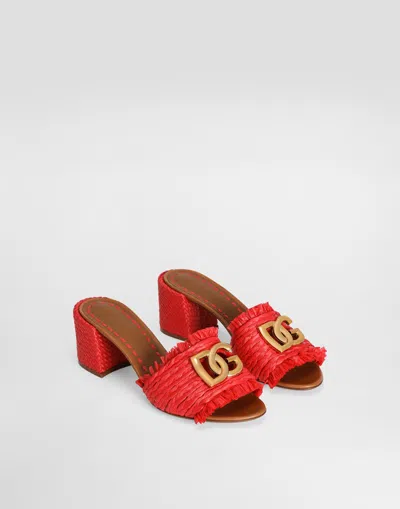Dolce & Gabbana Raffia Mules In Multi