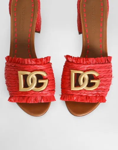 Dolce & Gabbana Raffia Mules In Multi