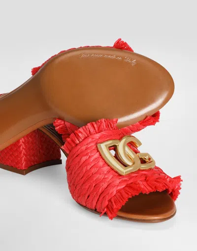 Dolce & Gabbana Raffia Mules In Multi
