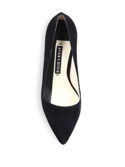 Shop Alice And Olivia Dina Suede Point Toe Pumps In Black
