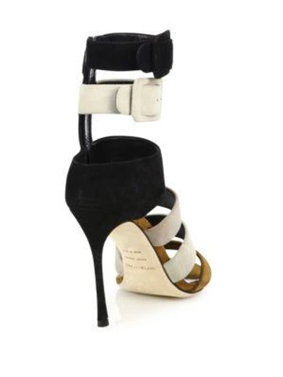 Shop Sergio Rossi Baobab Zebra Strappy Suede Sandals In Multi