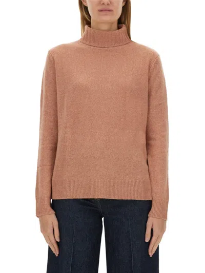 Aspesi High-neck Wool Jersey With Ribbed Hem In Brown