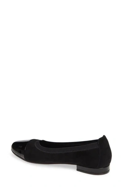 David Tate Nicole Cap Toe Flat In Black