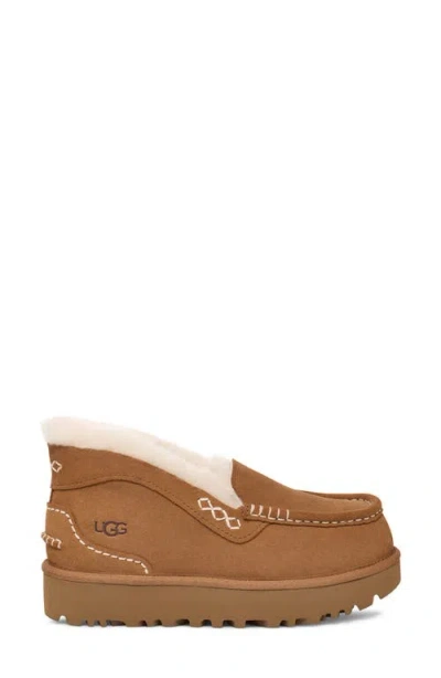 Ugg Ansley Parc In Brown