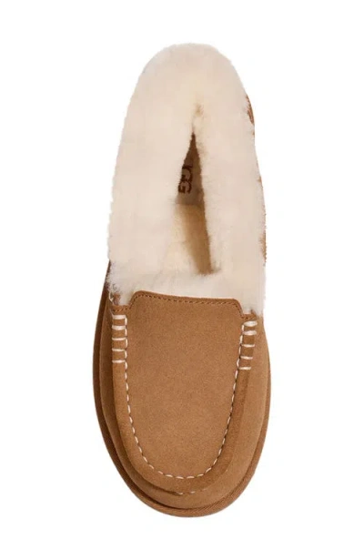 Ugg Ansley Parc In Brown