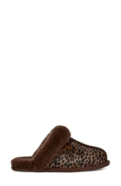 Ugg Scuffette Caspian In Burnt Cedar In Brown