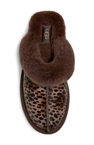 Ugg Scuffette Caspian In Burnt Cedar In Brown