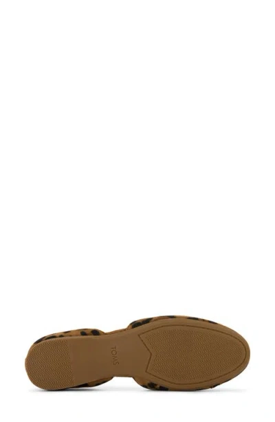 Toms Gemma Flat In Animal Print